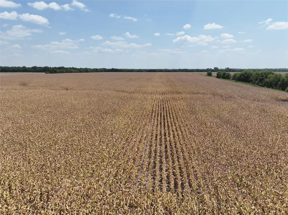 County Road 26850 Petty, TX 75470