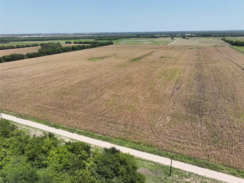 61 FM 137 Petty, TX 75470