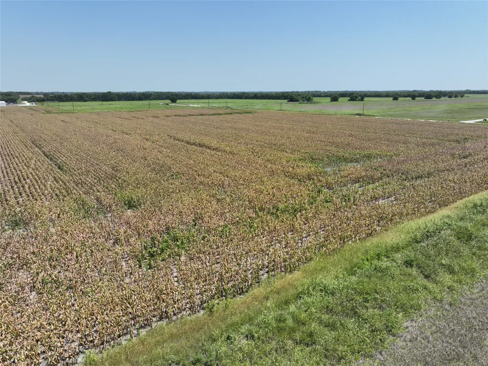 96 FM 137 Petty, TX 75470