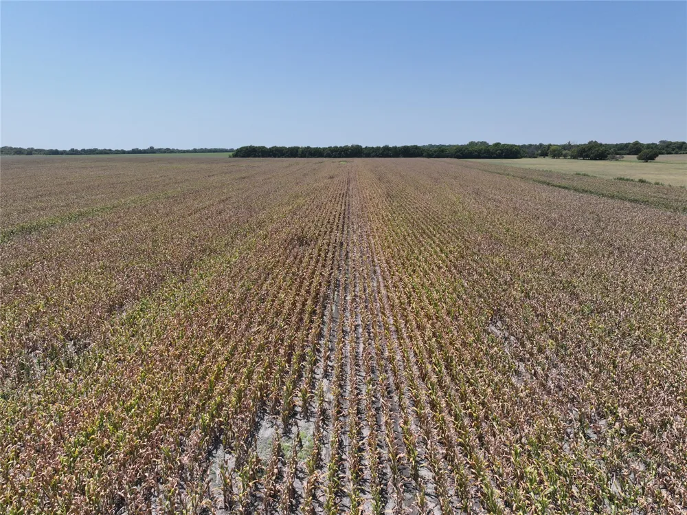 96 FM 137 Petty, TX 75470