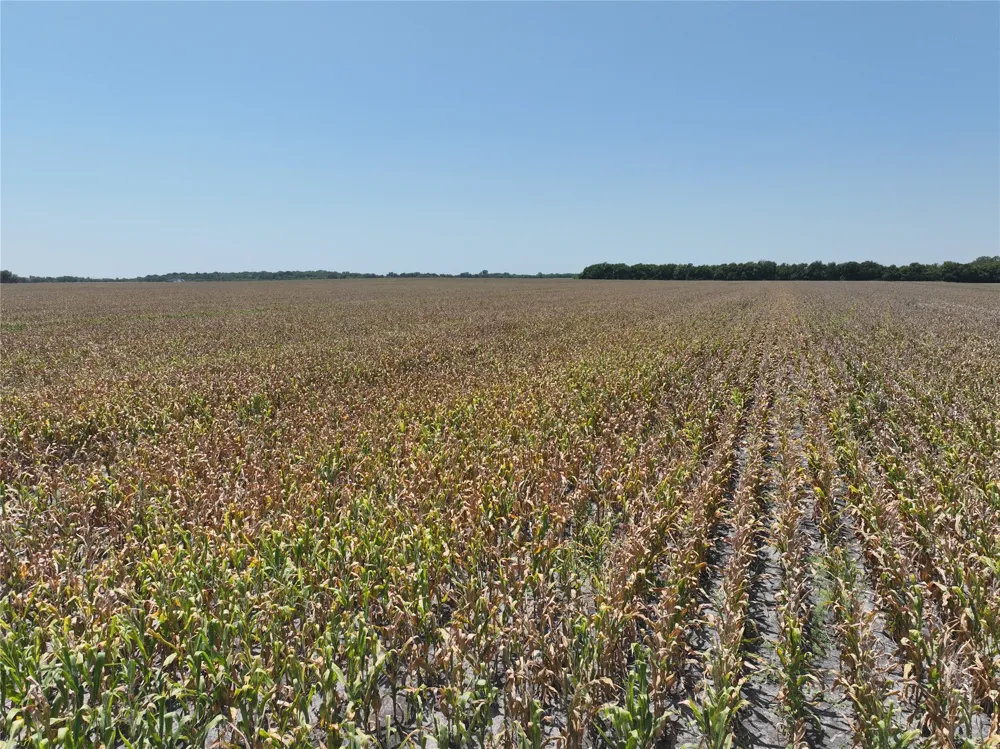 96 FM 137 Petty, TX 75470
