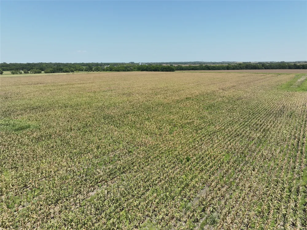96 FM 137 Petty, TX 75470