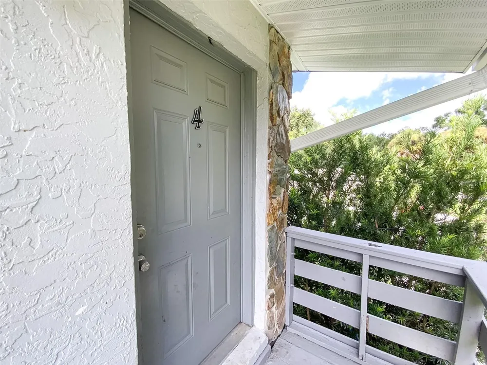 2205 IRENE STREET #4 Lutz, FL 33549