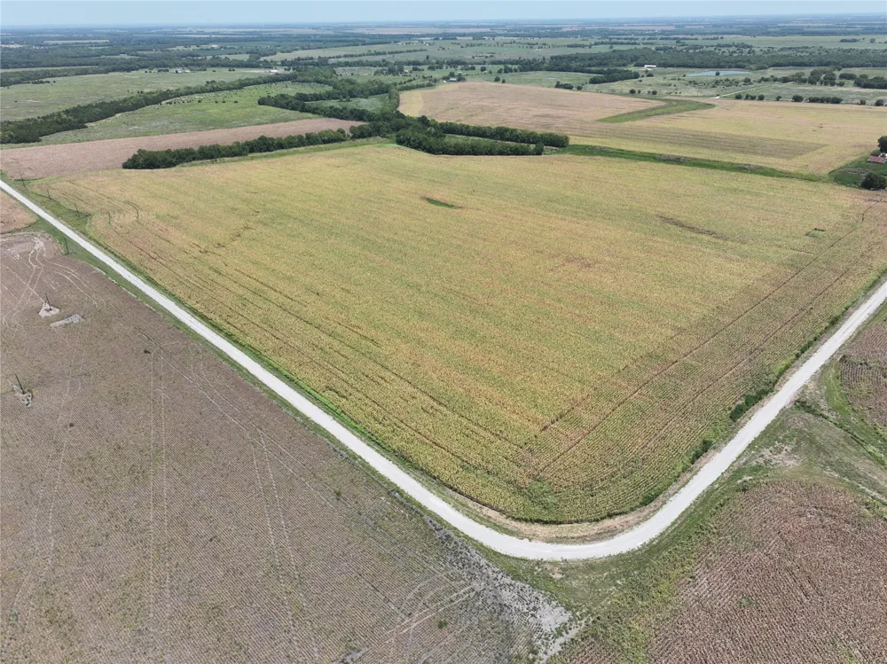 157 FM 904 Ladonia, TX 75449
