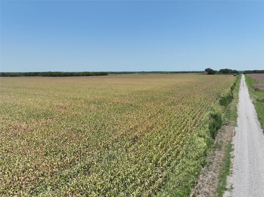 157 FM 904 Ladonia, TX 75449