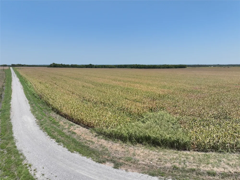 157 FM 904 Ladonia, TX 75449