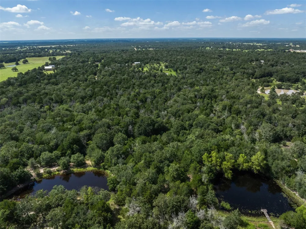 11201 Wildlife Circle Carmine, TX 78932
