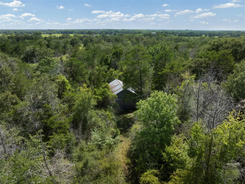 11201 Wildlife Circle Carmine, TX 78932