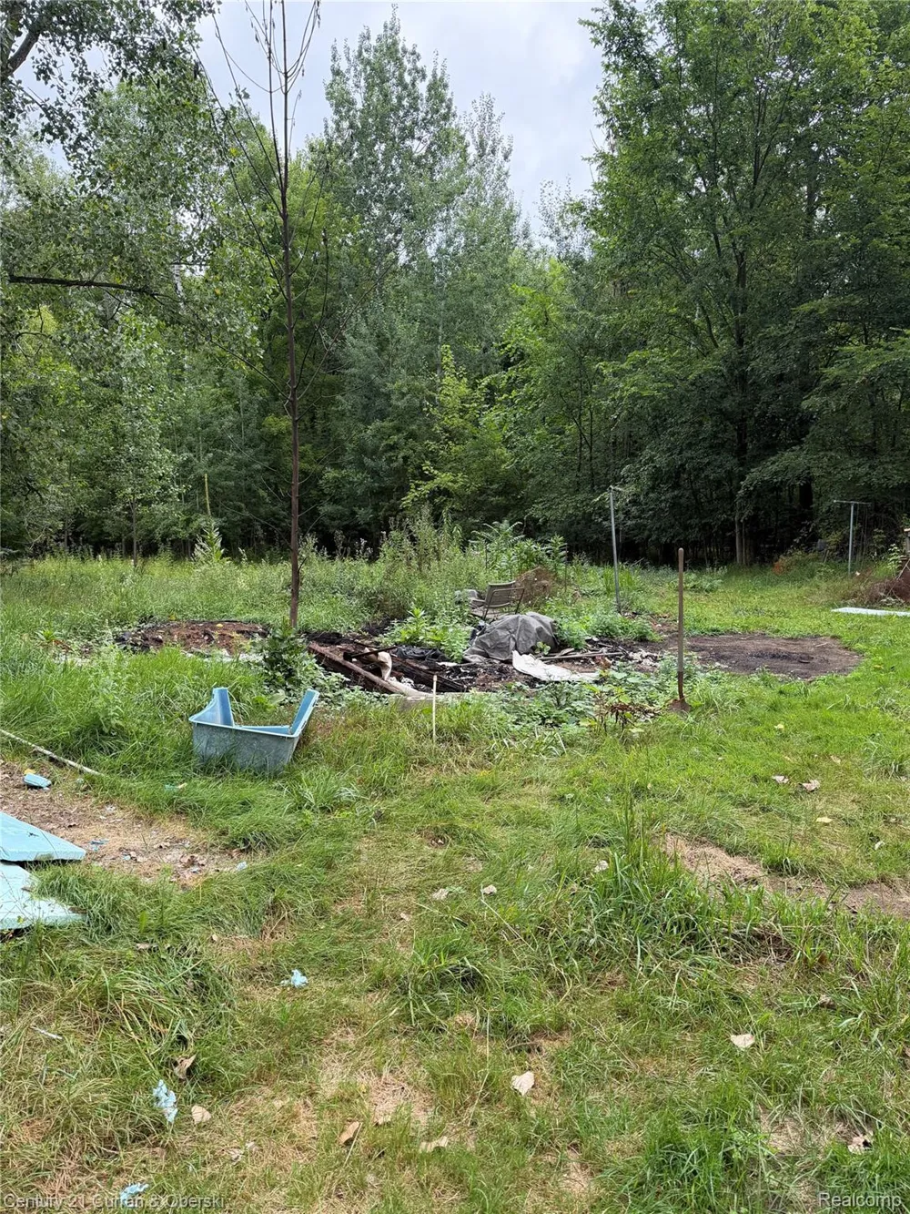 1873 Pierce Road Wells Township, MI 48723
