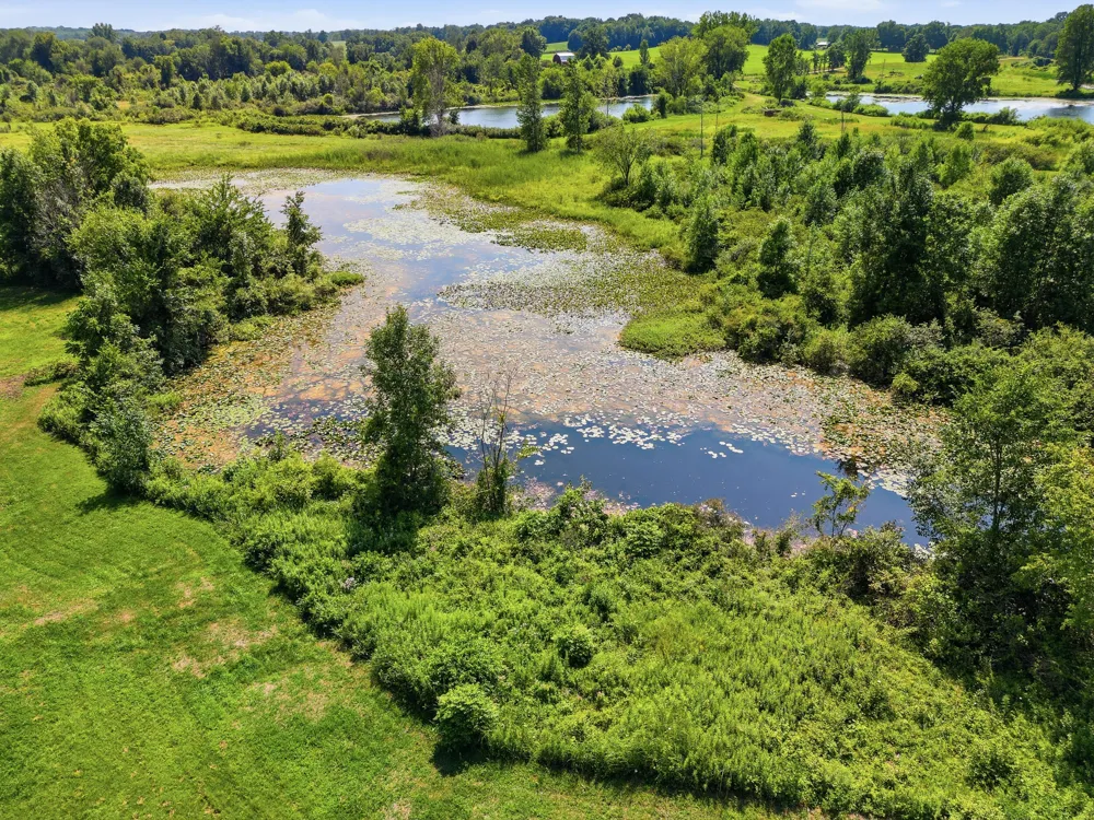1306 122nd Avenue Watson Township, MI 49328