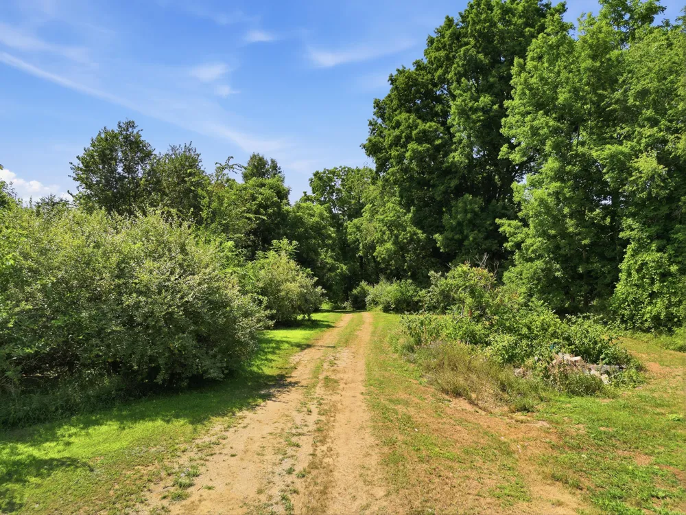 1306 122nd Avenue Watson Township, MI 49328