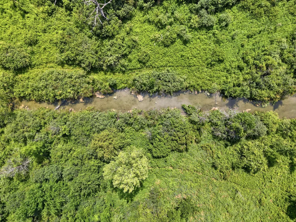 1306 122nd Avenue Watson Township, MI 49328