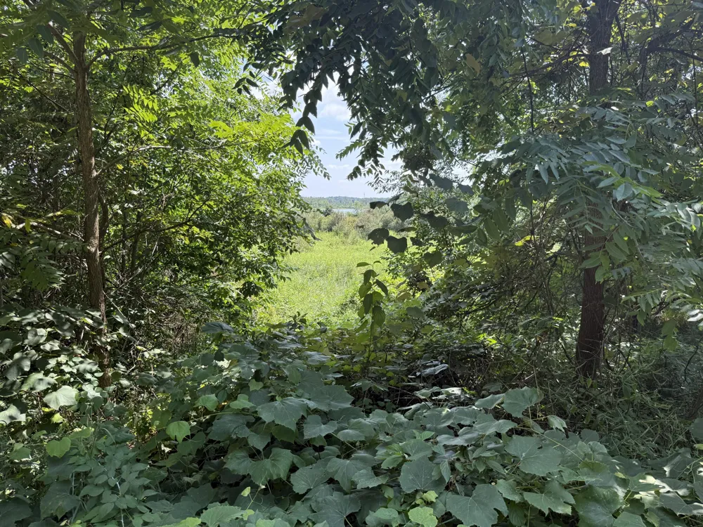 1306 122nd Avenue Watson Township, MI 49328