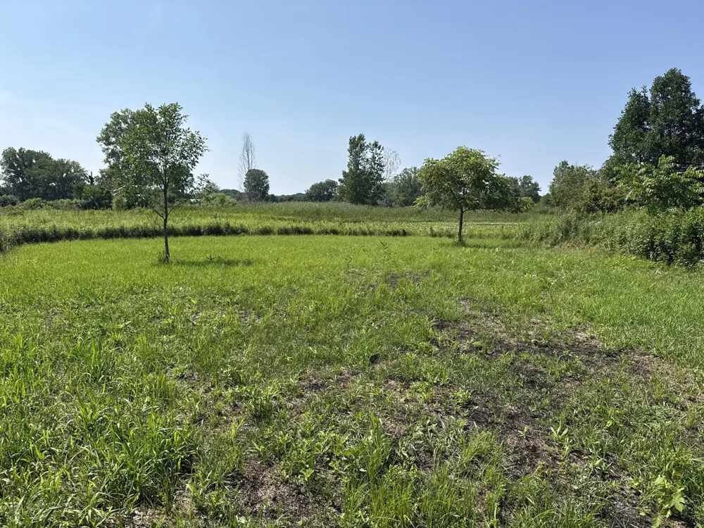 1306 122nd Avenue Watson Township, MI 49328