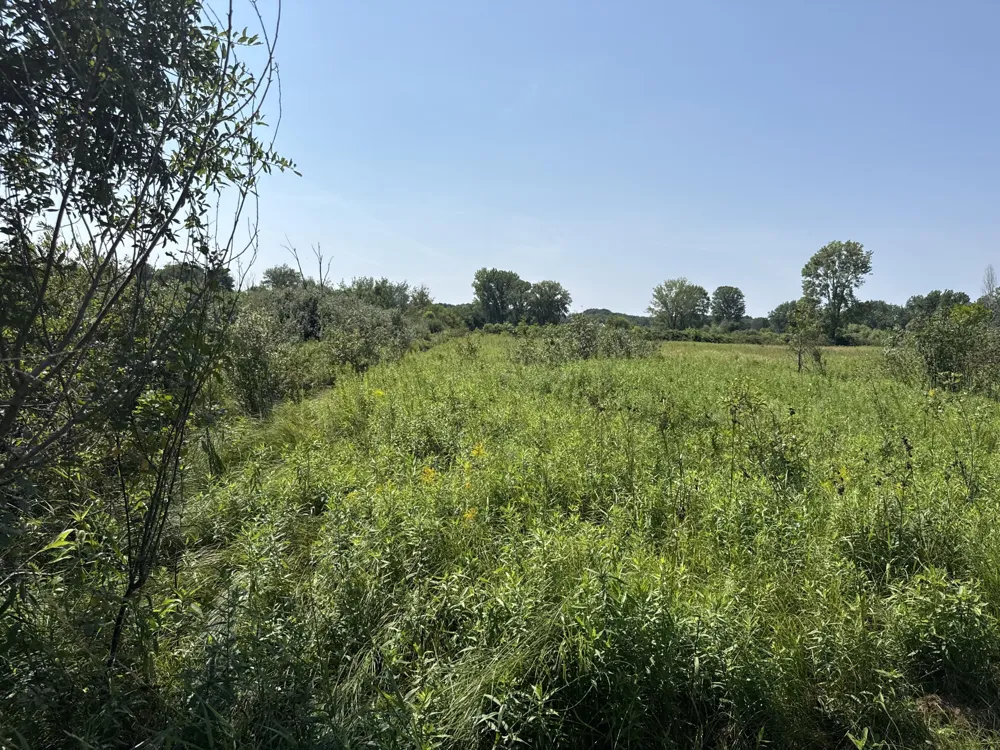 1306 122nd Avenue Watson Township, MI 49328