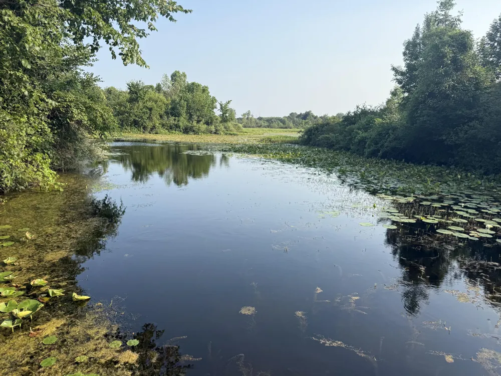 1306 122nd Avenue Watson Township, MI 49328