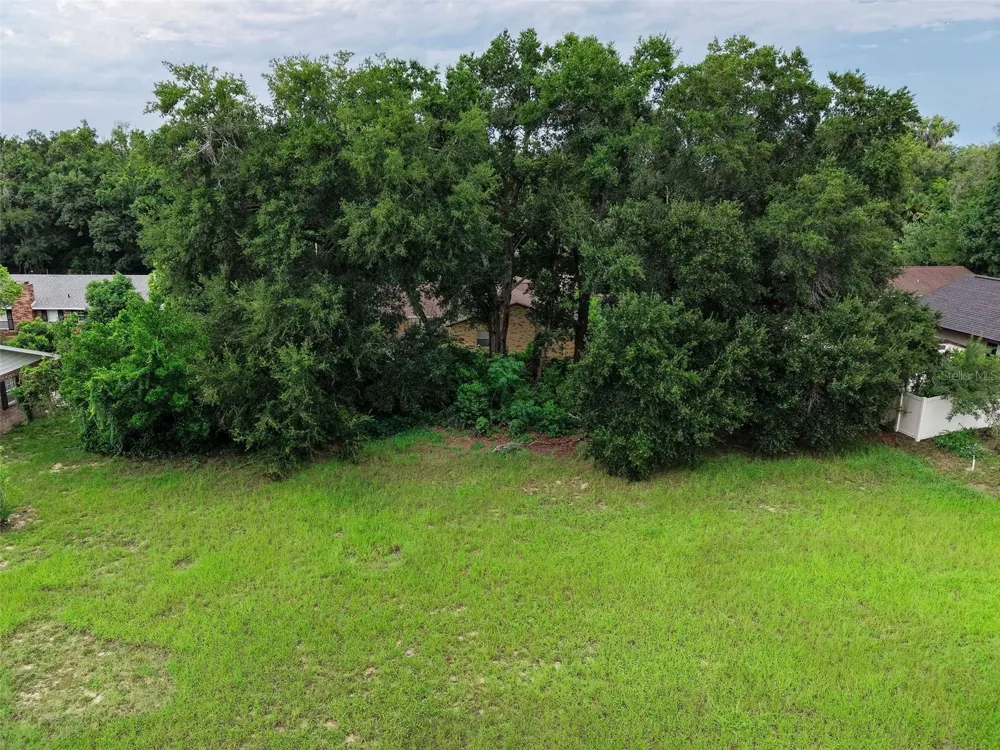 SAIL FISH AVENUE Fruitland Park, FL 34731