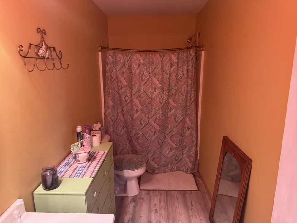 2184 Lake James Drive Denton Township, MI 48651