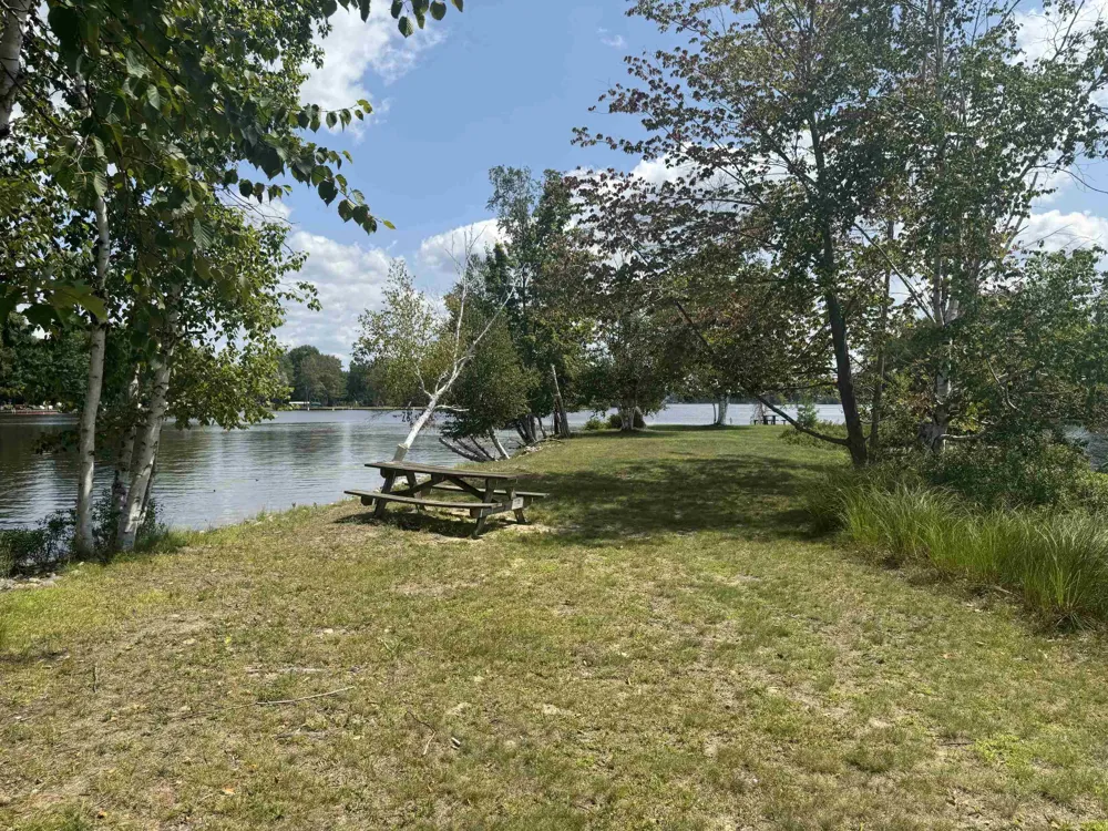 2184 Lake James Drive Denton Township, MI 48651