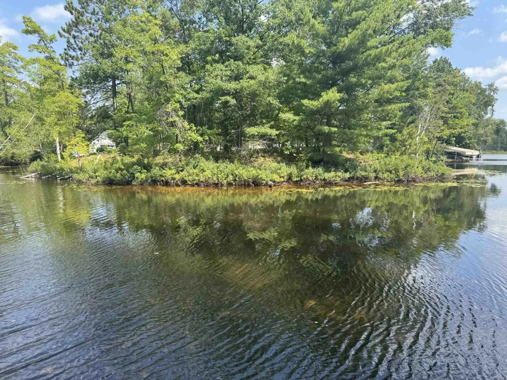 2184 Lake James Drive Denton Township, MI 48651