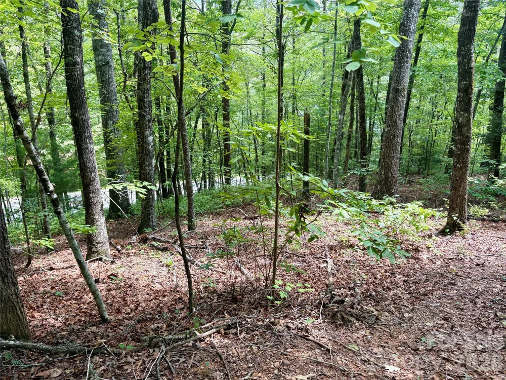 0 Watia Road Bryson City, NC 28713