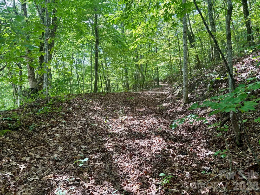 0 Watia Road Bryson City, NC 28713