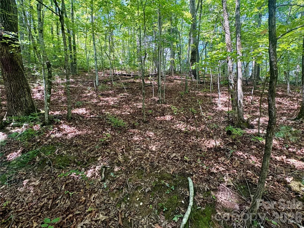 0 Watia Road Bryson City, NC 28713