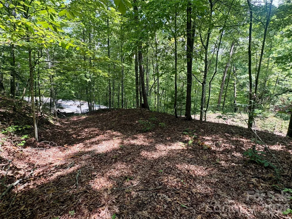 0 Watia Road Bryson City, NC 28713