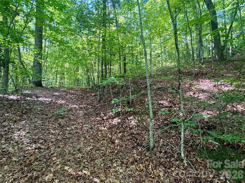 0 Watia Road Bryson City, NC 28713