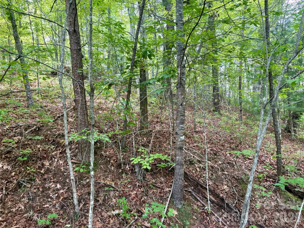 0 Watia Road Bryson City, NC 28713