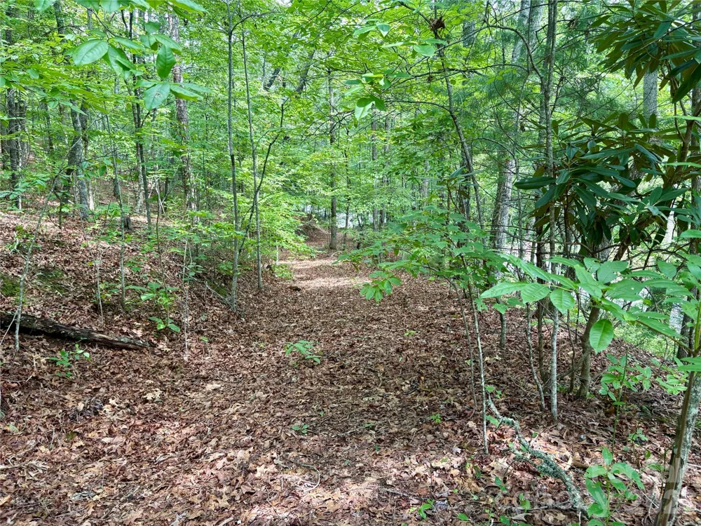 0 Watia Road Bryson City, NC 28713