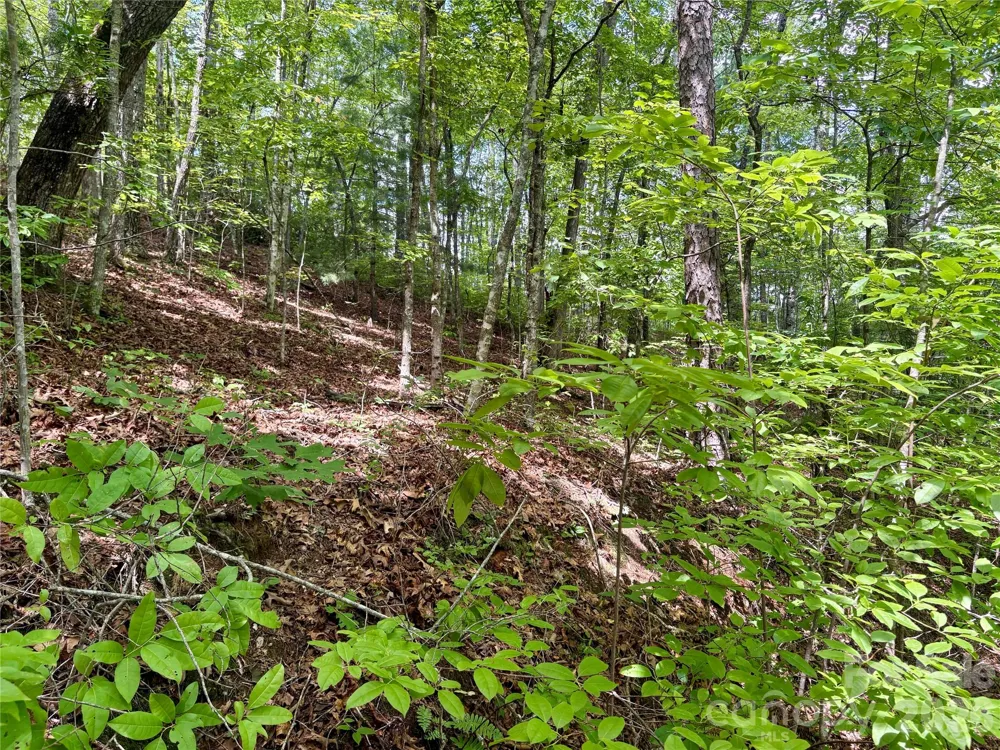 0 Watia Road Bryson City, NC 28713