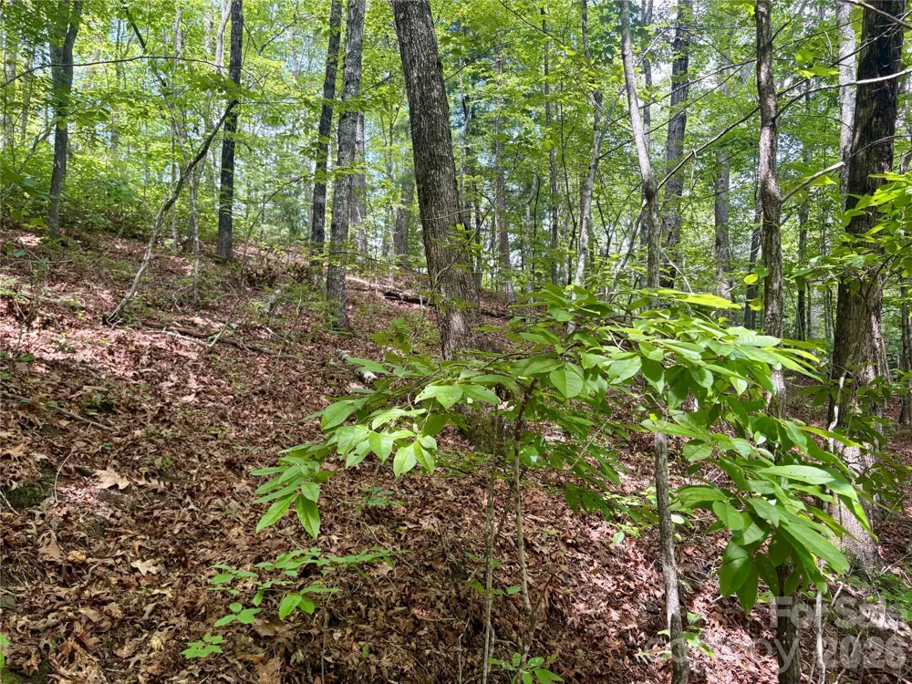0 Watia Road Bryson City, NC 28713