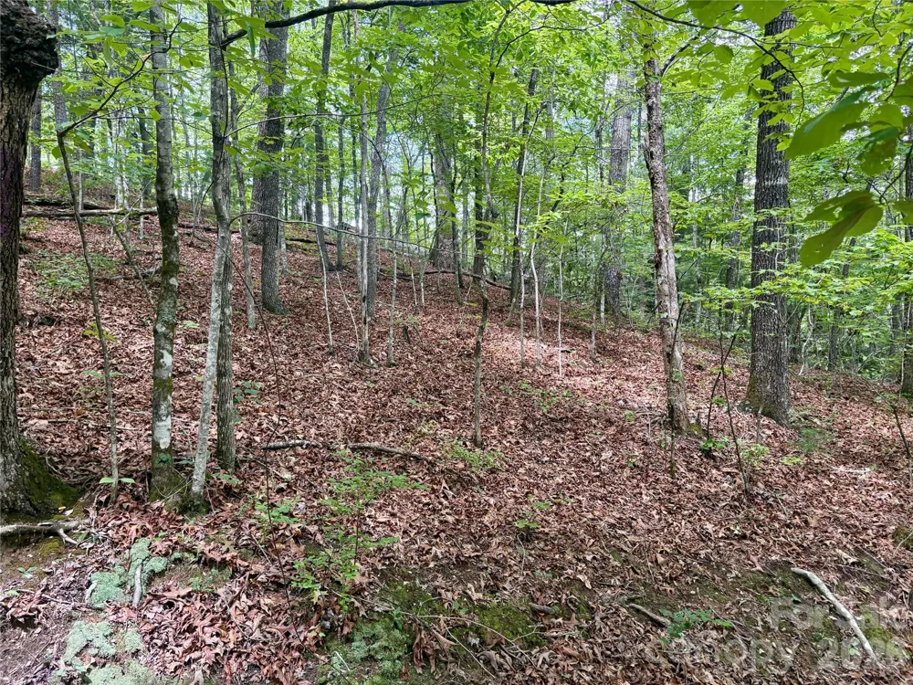 0 Watia Road Bryson City, NC 28713