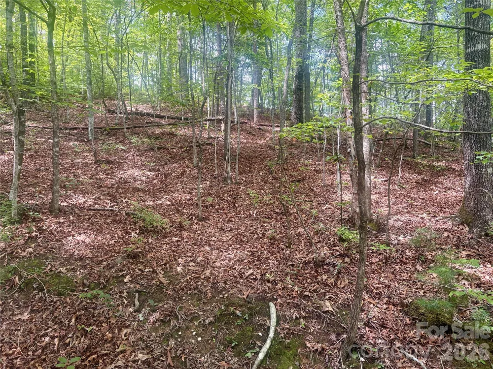 0 Watia Road Bryson City, NC 28713