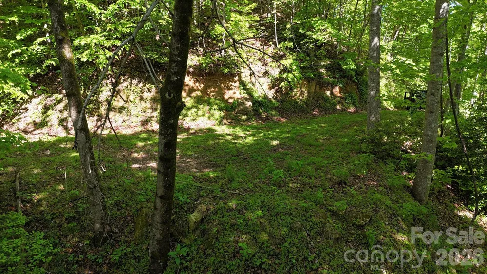TBD Valley Drive Lenoir, NC 28645