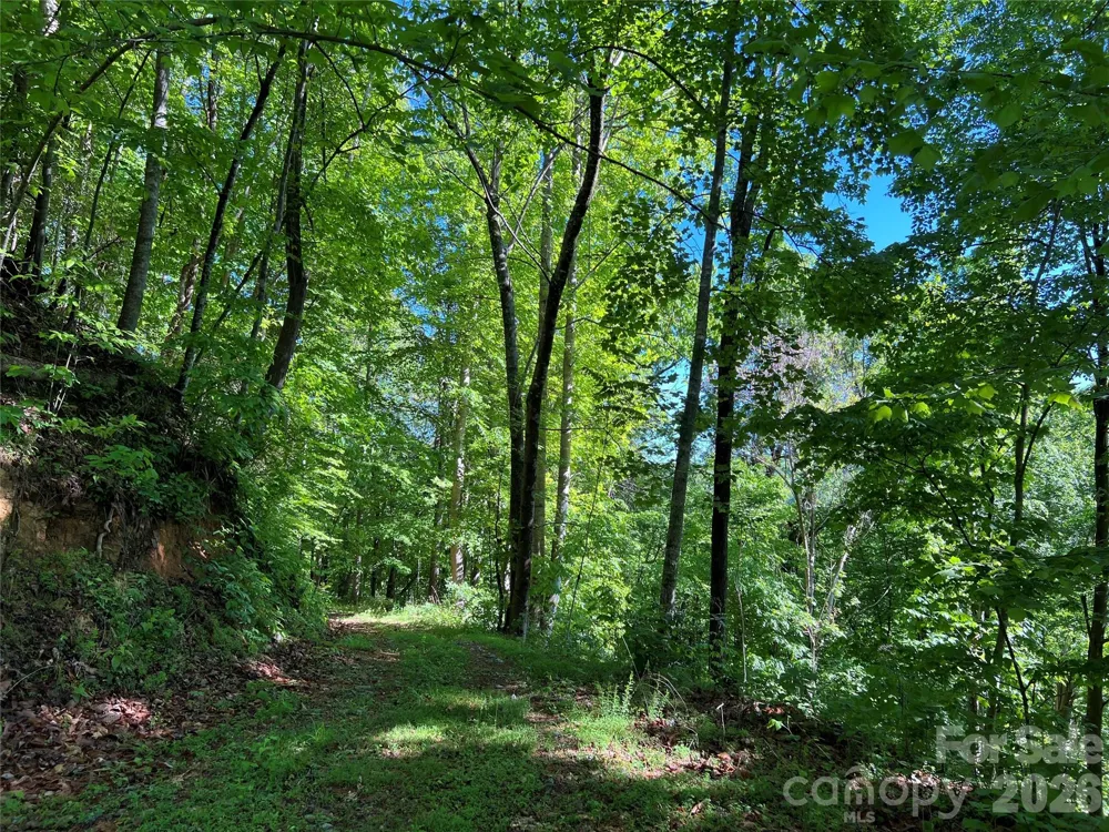 TBD Valley Drive Lenoir, NC 28645