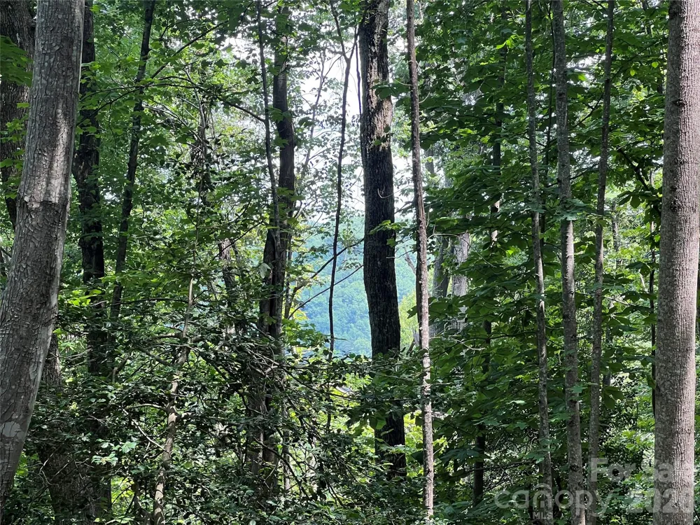 TBD Valley Drive Lenoir, NC 28645