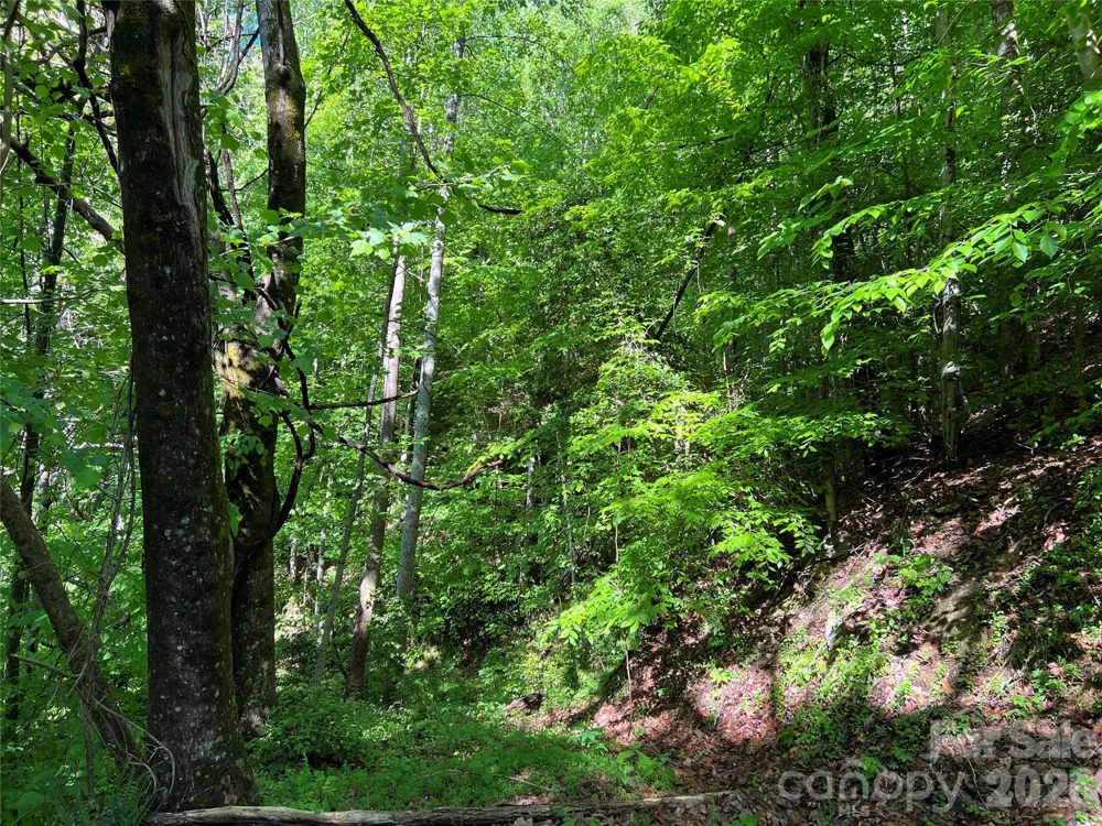 TBD Valley Drive Lenoir, NC 28645