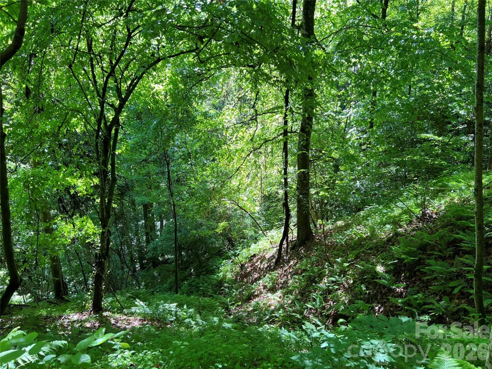 TBD Valley Drive Lenoir, NC 28645