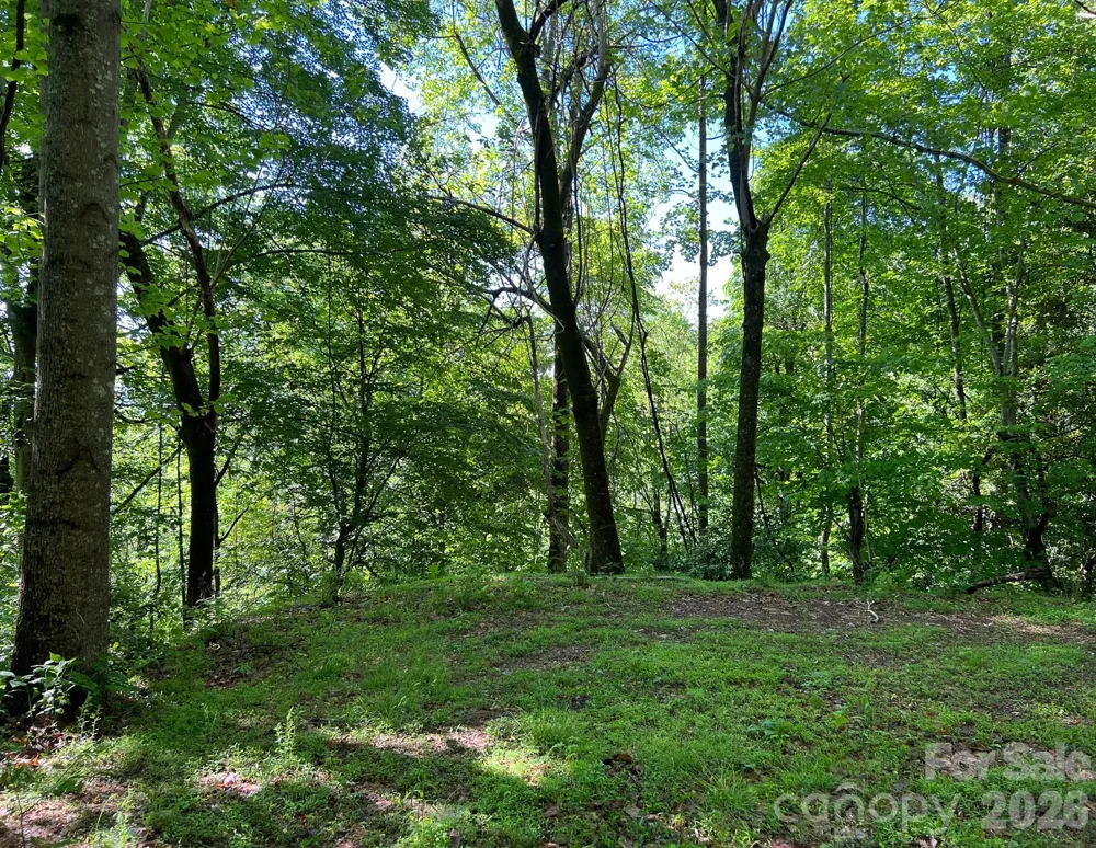 TBD Valley Drive Lenoir, NC 28645
