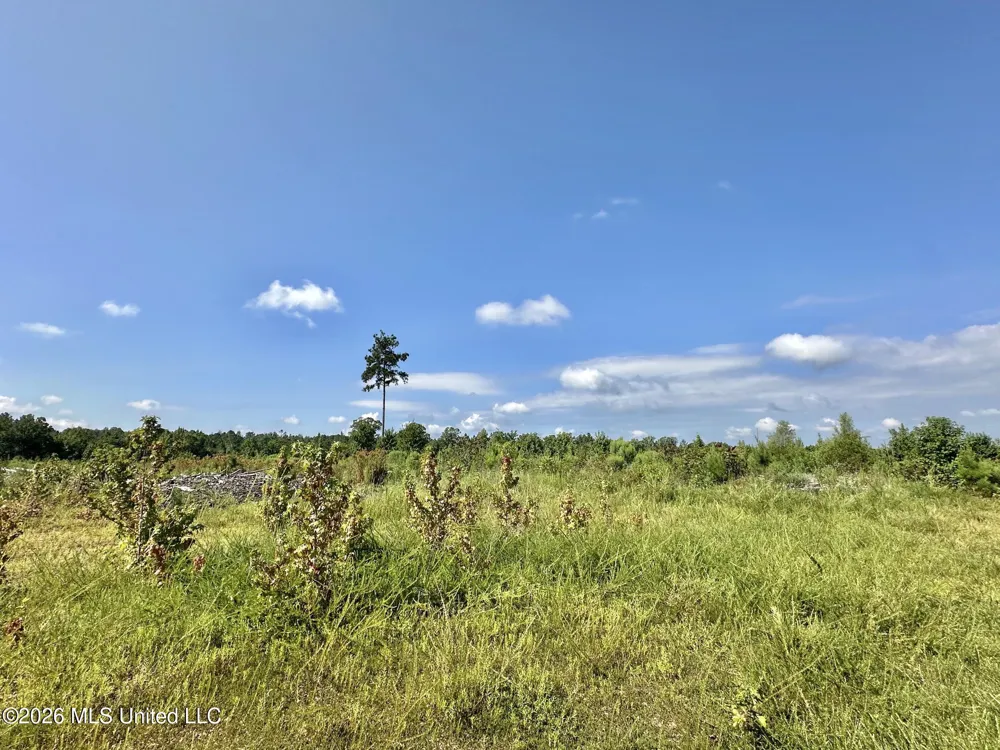 1 Will Womack Mantee, MS 39751