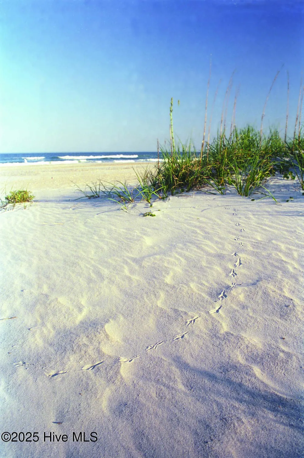 6778 Holton Place SW #130 Ocean Isle Beach, NC 28469