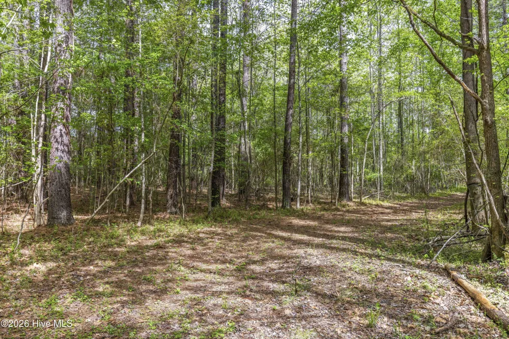 3100 Buckhorn Road Sanford, NC 27330