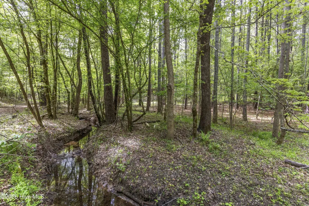 3100 Buckhorn Road Sanford, NC 27330