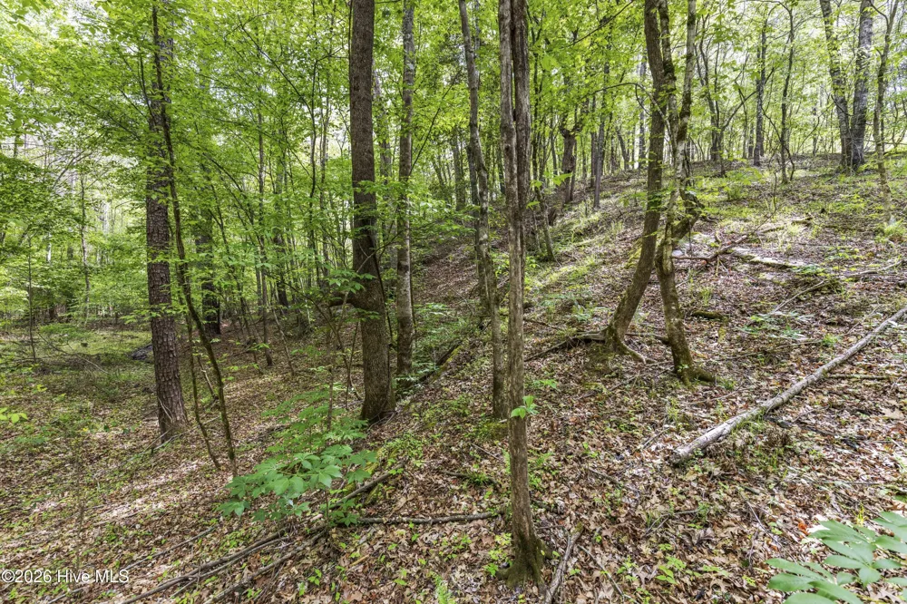 3100 Buckhorn Road Sanford, NC 27330