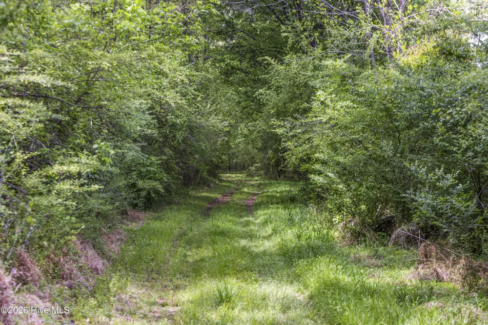 3100 Buckhorn Road Sanford, NC 27330