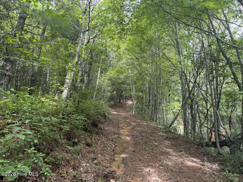 760 Cliff Top Trail Andrews, NC 28901