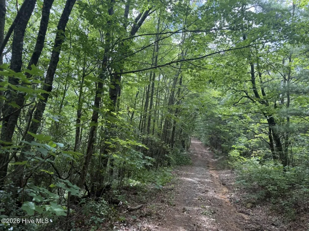 760 Cliff Top Trail Andrews, NC 28901