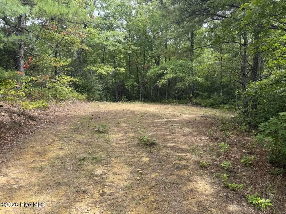 760 Cliff Top Trail Andrews, NC 28901